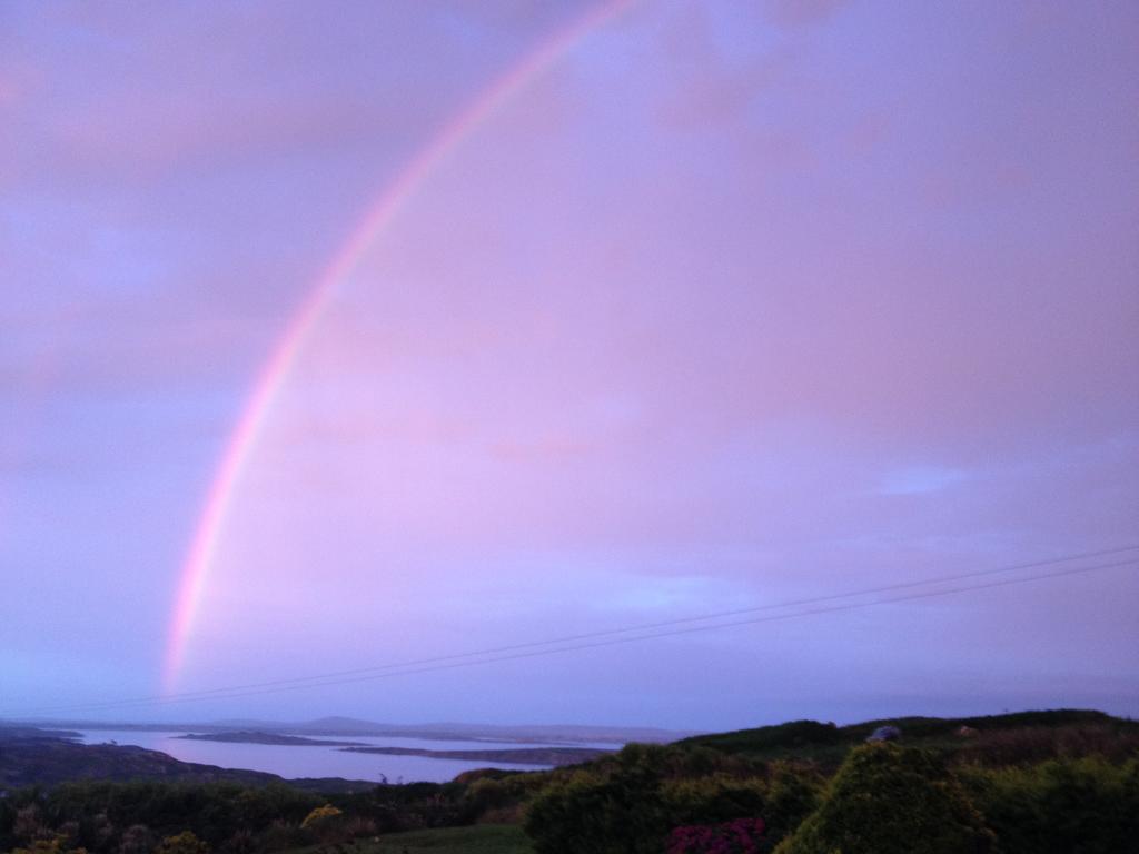 Rock Hill House Bed & Breakfast Schull ภายนอก รูปภาพ