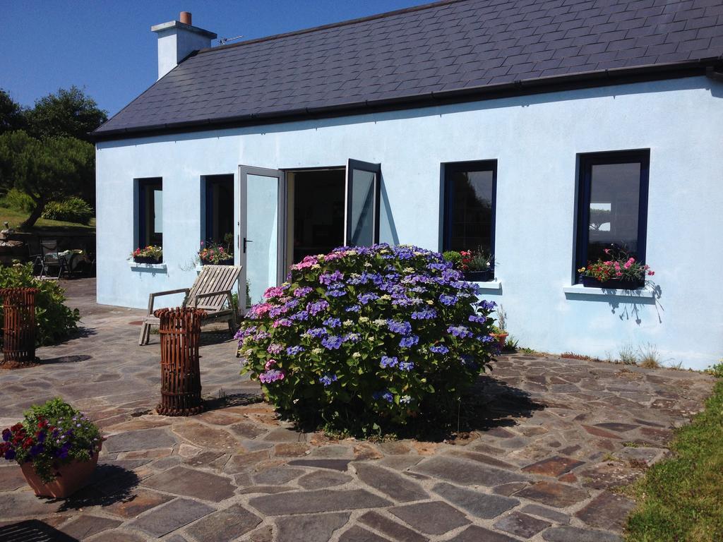 Rock Hill House Bed & Breakfast Schull ภายนอก รูปภาพ